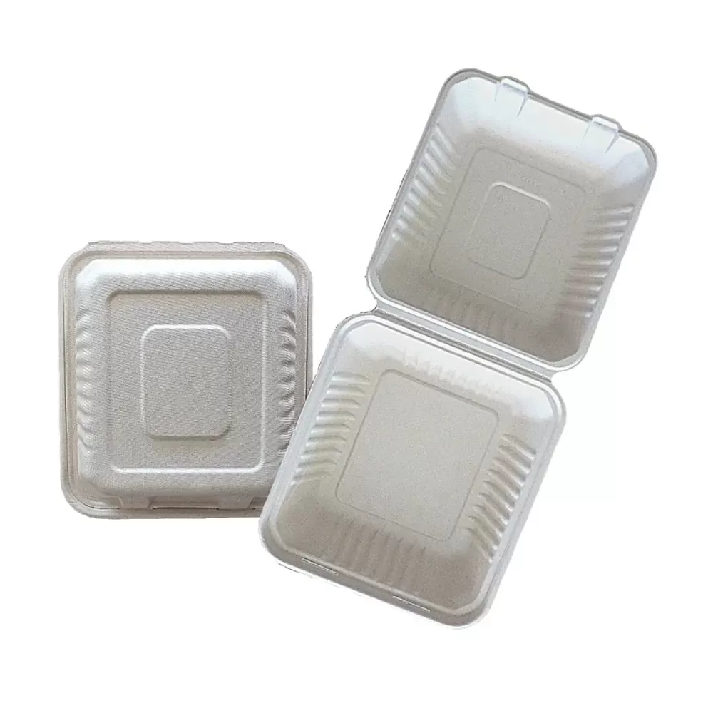 Porta Comida Cuadrado 23,6x22,9x4,6 Cms. Bagasse