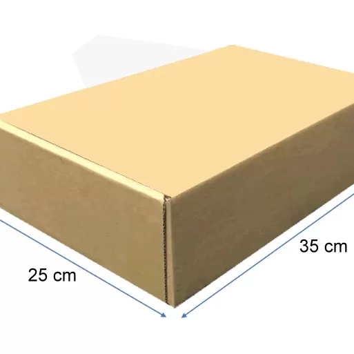 Caja Autoarmable Multiuso, 35x25x10 Cms