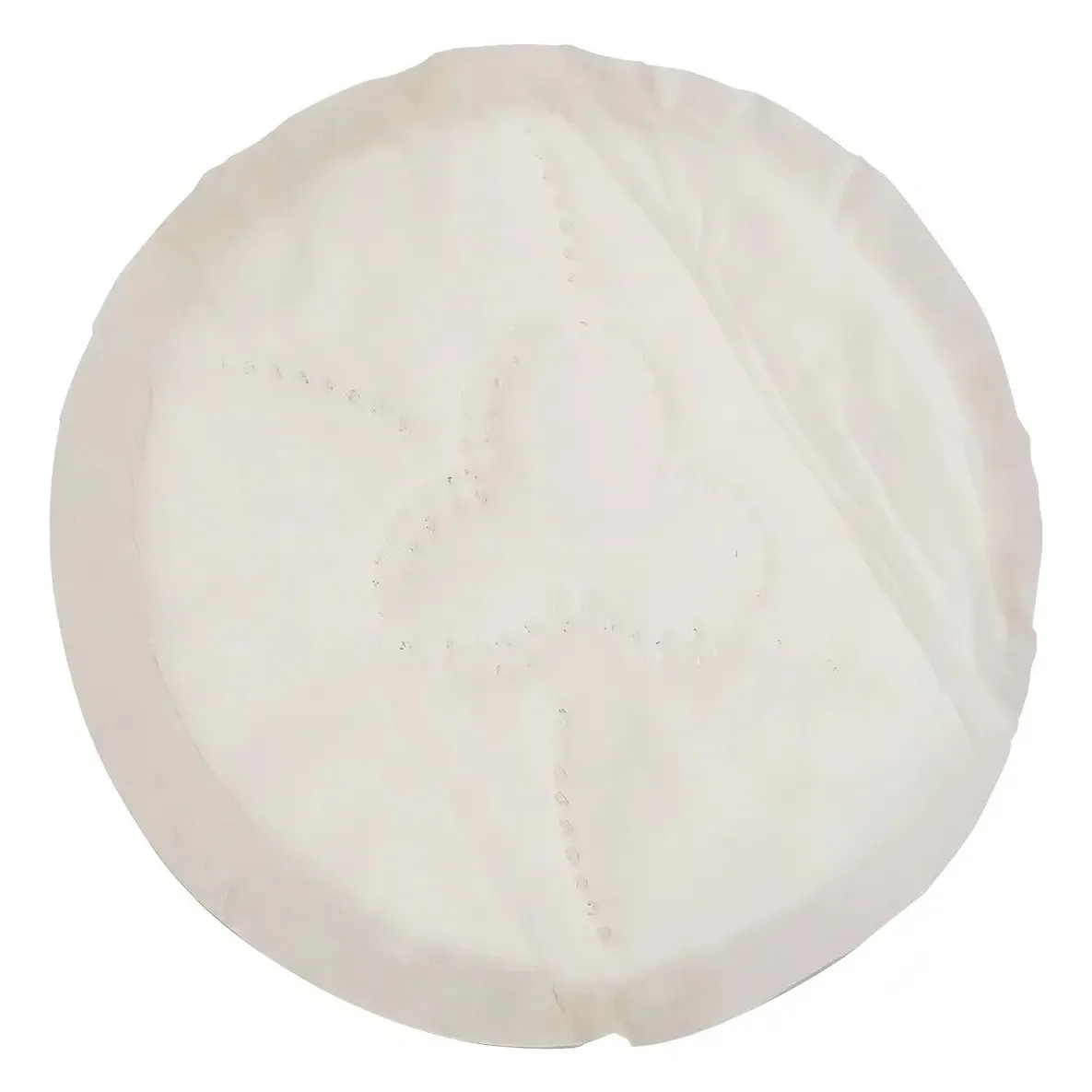 Protectores Mamarios Absorbentes De Leche Tropical - image 2
